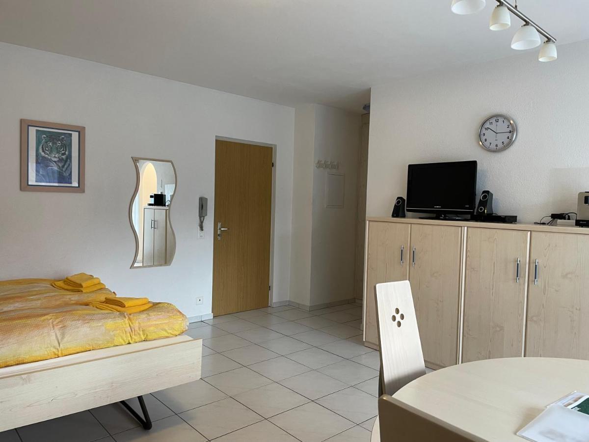 Muralto-Locarno: Miramonti Apt. 4 エクステリア 写真